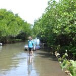 der Weg durch die Mangroven