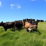 der Weg ist nicht nur für uns