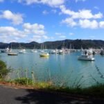 die Ankerlieger in Whangaroa Harbour