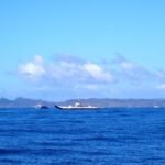 die Autofähre von Opua flieht vor dem Tsunami