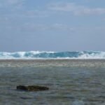 die Brandungswelle am Außenriff