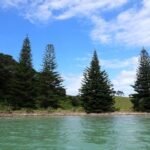 die Bucht von Mimiwhangata