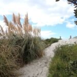 die Dünen von Ruakaka Beach