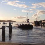 die Fähre von Opua nach Okiato