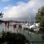 die Opua Marina