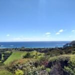 die Ostküste von Great Barrier Island