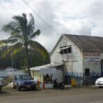 die Waitui Marina