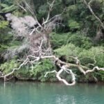 Dinghi Ausflug in Whangaroa Hbr