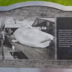 Dokumente des Schreckens