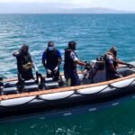 dort besucht uns die Navy