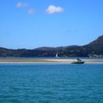 eine Sandbank im Hatea River