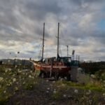 einer der neuen Nachbarn