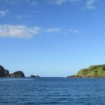 Einfahrt nach Whangamumu