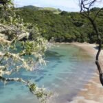 Entico Bay Urupukapuka