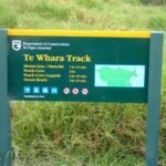 er macht eine Wanderung zum Mount Lion