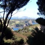 es gibt auch Passagen durch Wald