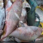 Fische im Supermarkt