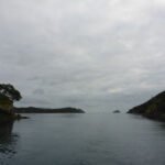 gemeistert und Blick zurück