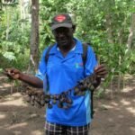 George zeigt die Fußrasseln