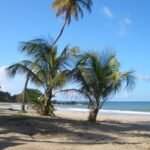 Grand Riviere Trinidad