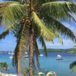 hier gibt es auch Palmen