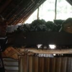 hier wird Kopra getrocknet