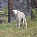 huch, da ist ja jemand