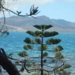 im Hintergrund Nickelabbau