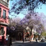 in Santiago de Chile