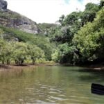 Kayakausflug in die Te Rere Bay