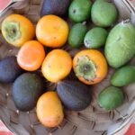 kleine Auswahl an Früchten