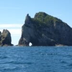 könnte ein Mammut sein