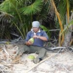 Kokosnuss als Durstlöscher