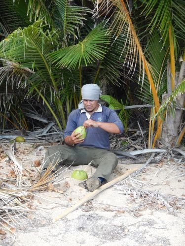Kokosnuss als Durstlöscher