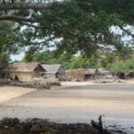 Lutes Village - Uliveo