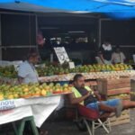 Mangos im Überfluß