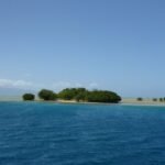 Mangroveninselchen bei Fawn Harbour