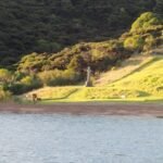 Marsden Cross in der Rangihoua Bay