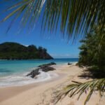 Meer, Sand und Palmen