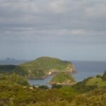 mit Blick auf die Poor Knights Islands