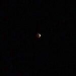 Mondfinsternis am 19ten November