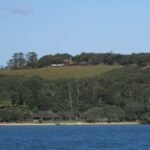 Omata Estate Vineyard oben am Hang