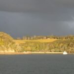 Omate Estate Vineyard