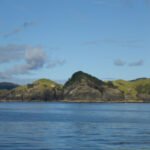 Ostküste GreatBarrier Island