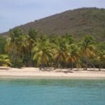 Palmenstrand Mayreau