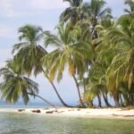 Palmenstrand San Blas