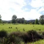 Radtour vorbei an grünen Wiesen