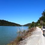 Radweg entlang des Kawakawa Rivers