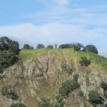 Rainbow Warrior Memorial Matauri Bay