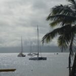 rainy Savusavu